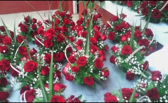 Sin Nombre